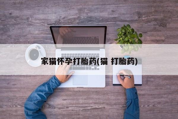 流产药微信家猫怀孕打胎药(猫 打胎药)
